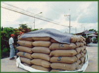 Grain and Harvest Bags